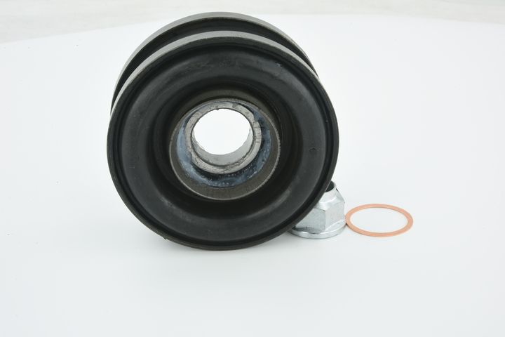 guolis, kardaninio veleno centrinis guolis