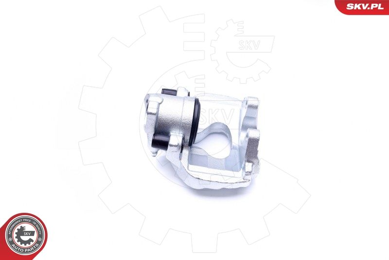 Brake Caliper 45SKV311