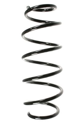 SPIDAN 56291 - Fahrwerksfeder