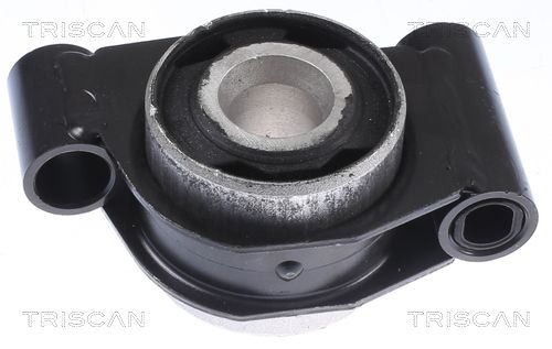 Triscan 8500 238013 Lagerung, Lenker