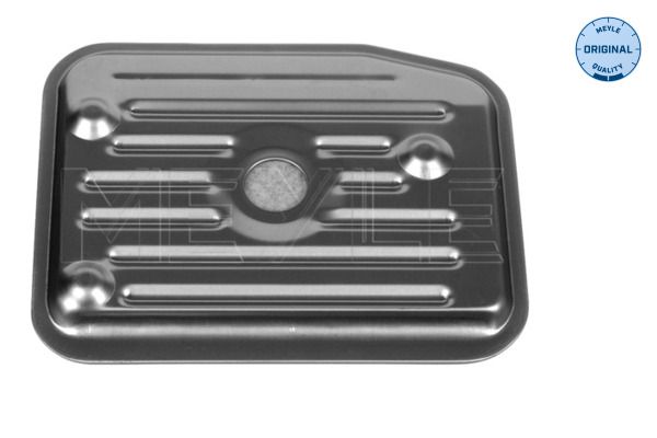 FS_1003250001_1.JPG