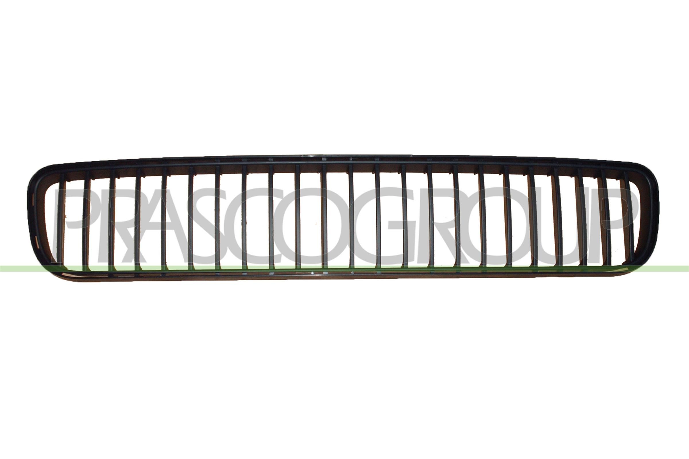 L&uuml;ftungsgitter, Sto&szlig;f&auml;nger