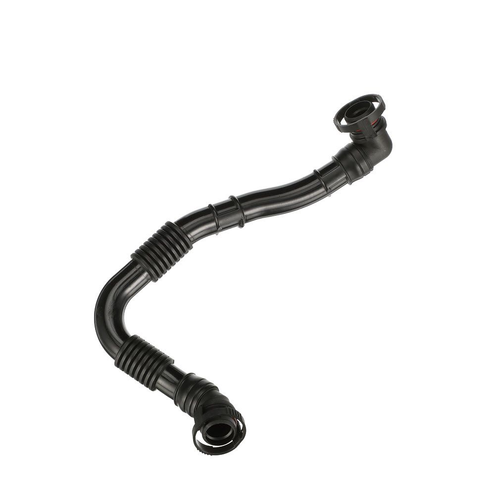 žarna, karterio alsuoklis