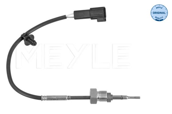Sensor, Abgastemperatur