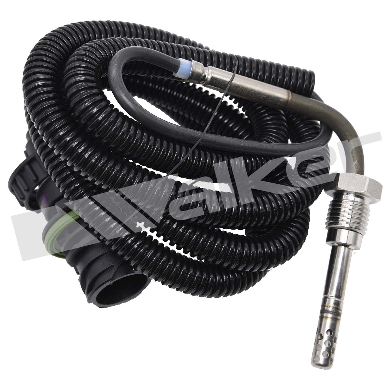 Sensor, de temperatura de gas de escape