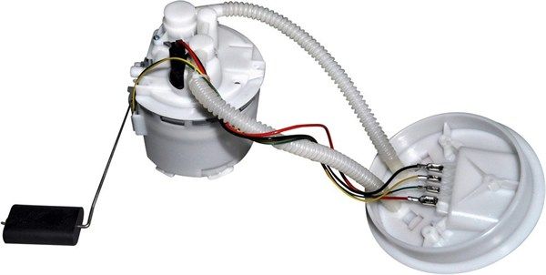 TPF_MAM00052M_WR.JPG