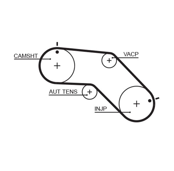 Timing Belt 5504XS