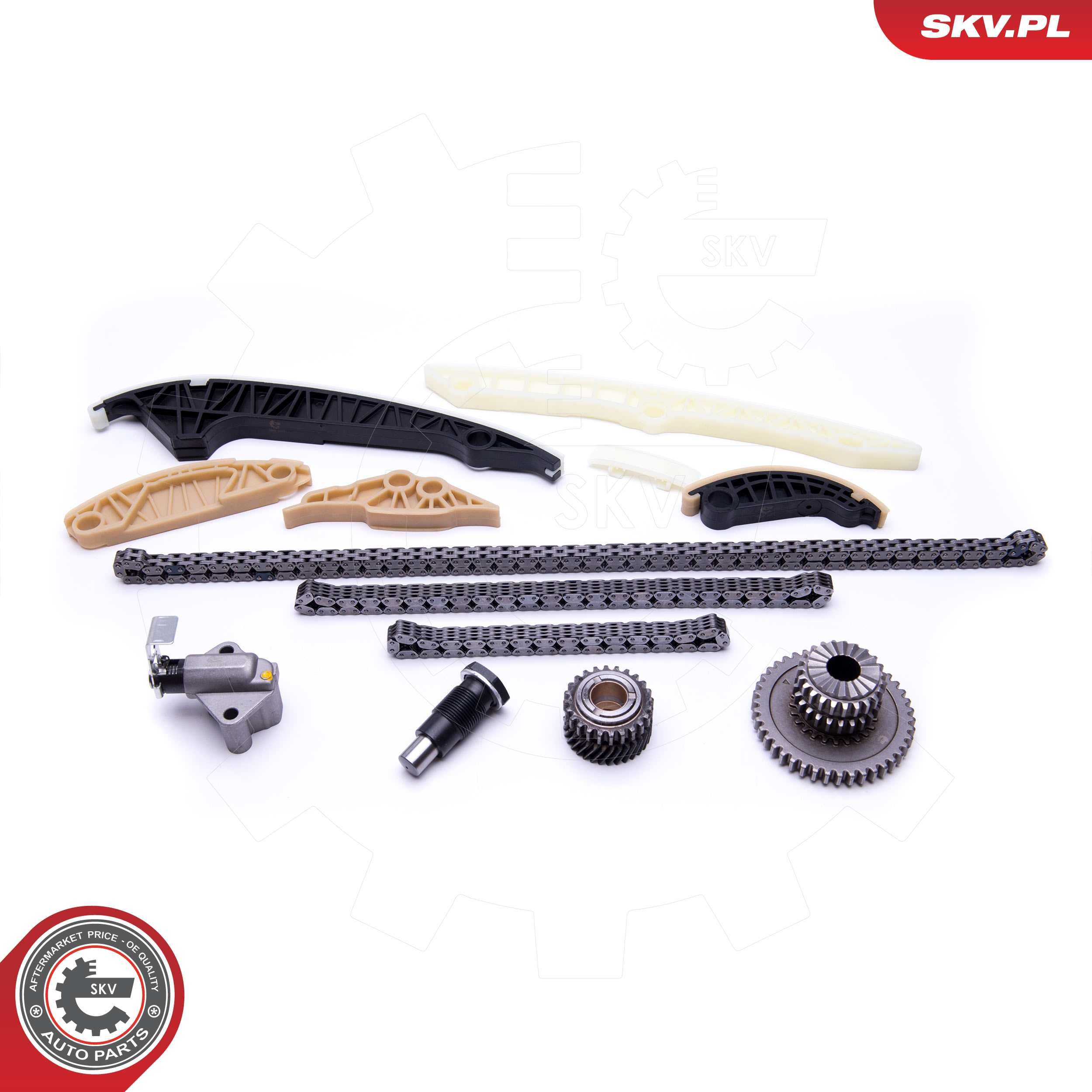 ESEN SKV 21SKV163 - Steuerkettensatz