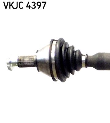 VKJC 4397_2.JPG
