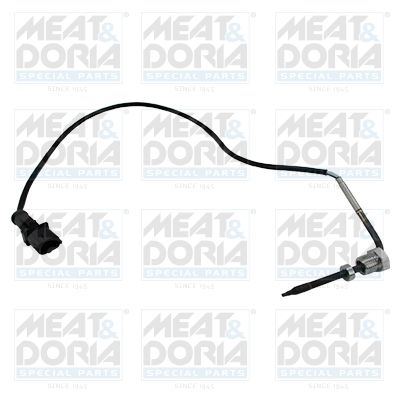 Sensor, exhaust gas temperature 12446E