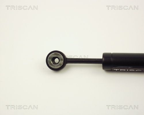 Triscan 8710 2315 Schwingungsdämpfer, Keilrippenriemen Triscan 8710 2315 Schwingungsdämpfer, Keilrippenriemen