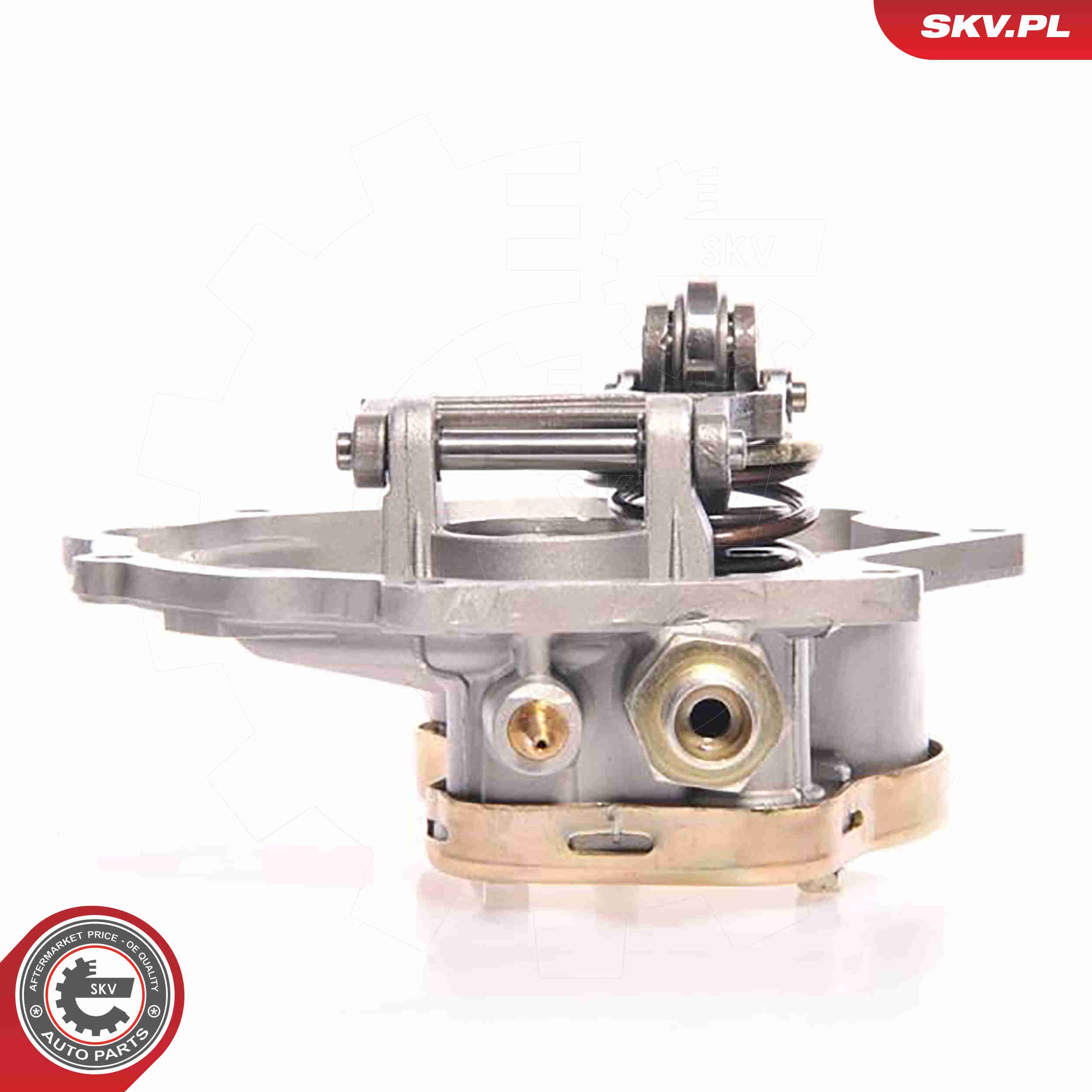 Unterdruckpumpe, Bremsanlage