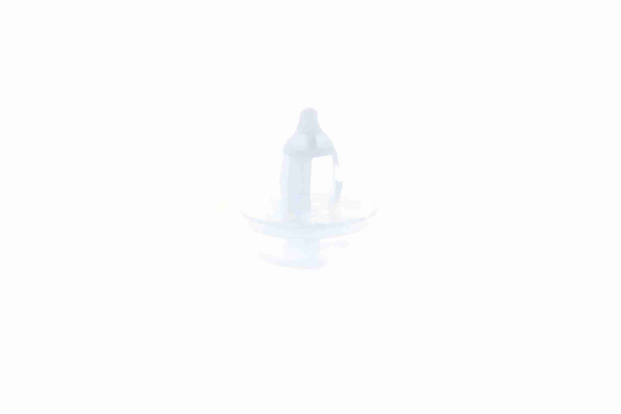 Clip