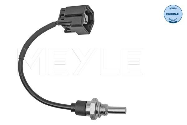 Sensor, Kühlmitteltemperatur