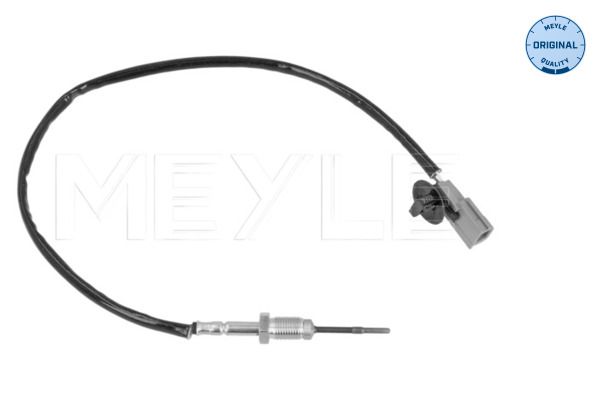 Sensor, Abgastemperatur