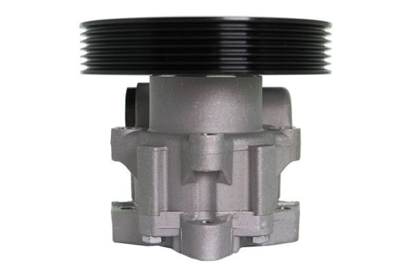 Hydraulikpumpe, Lenkung