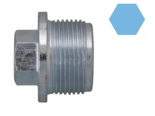 Verschlussschraube, &Ouml;lwanne