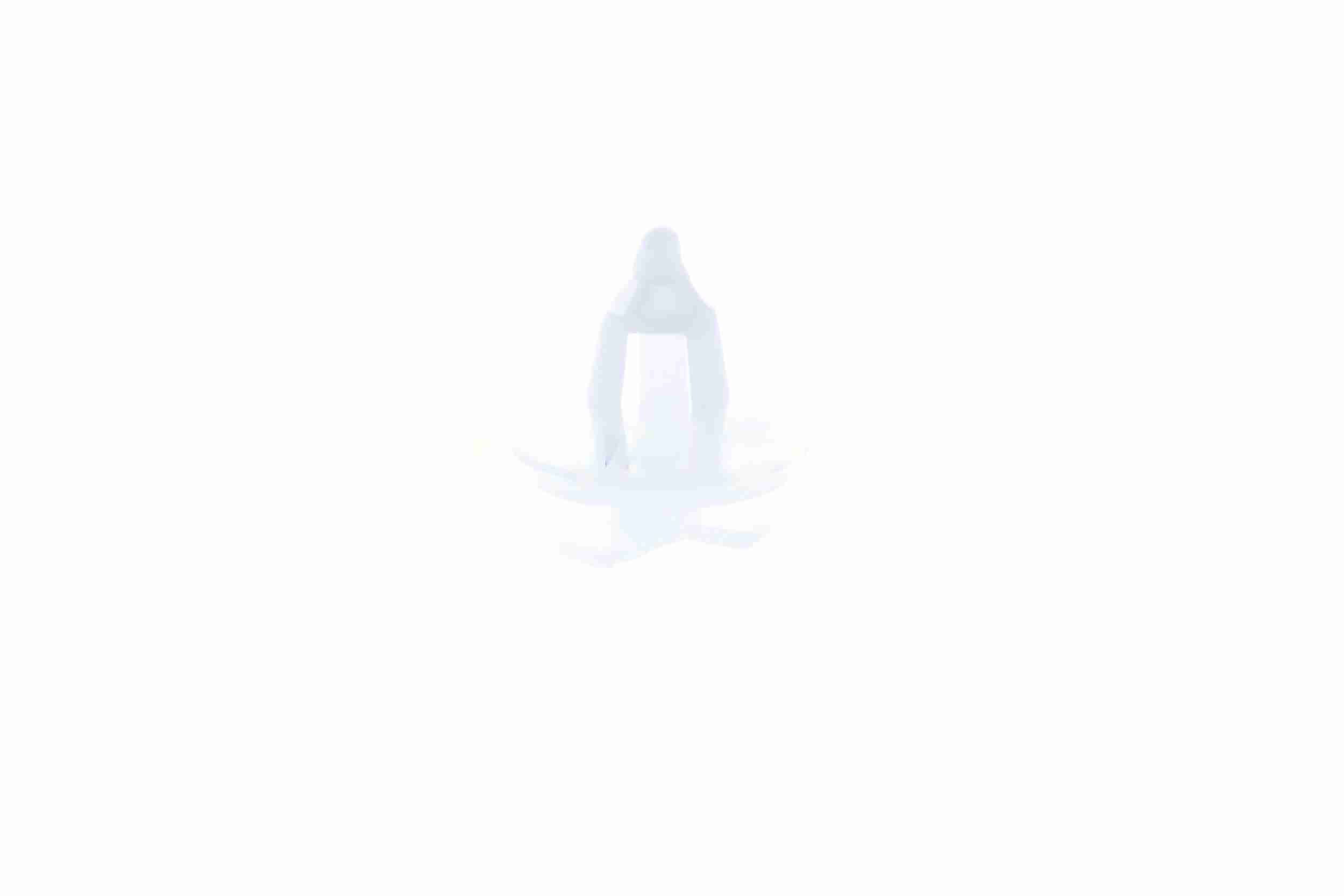 Clip