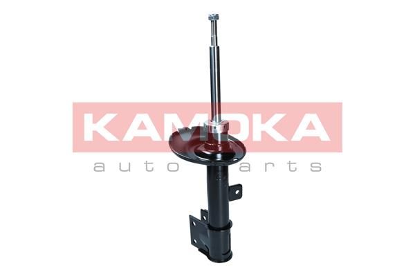 Shock Absorber 2000594