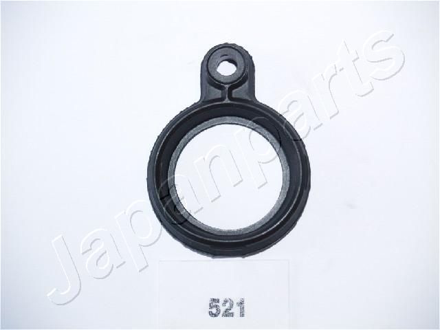 GP-521_1.JPG