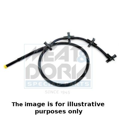 Schlauch, Leckkraftstoff