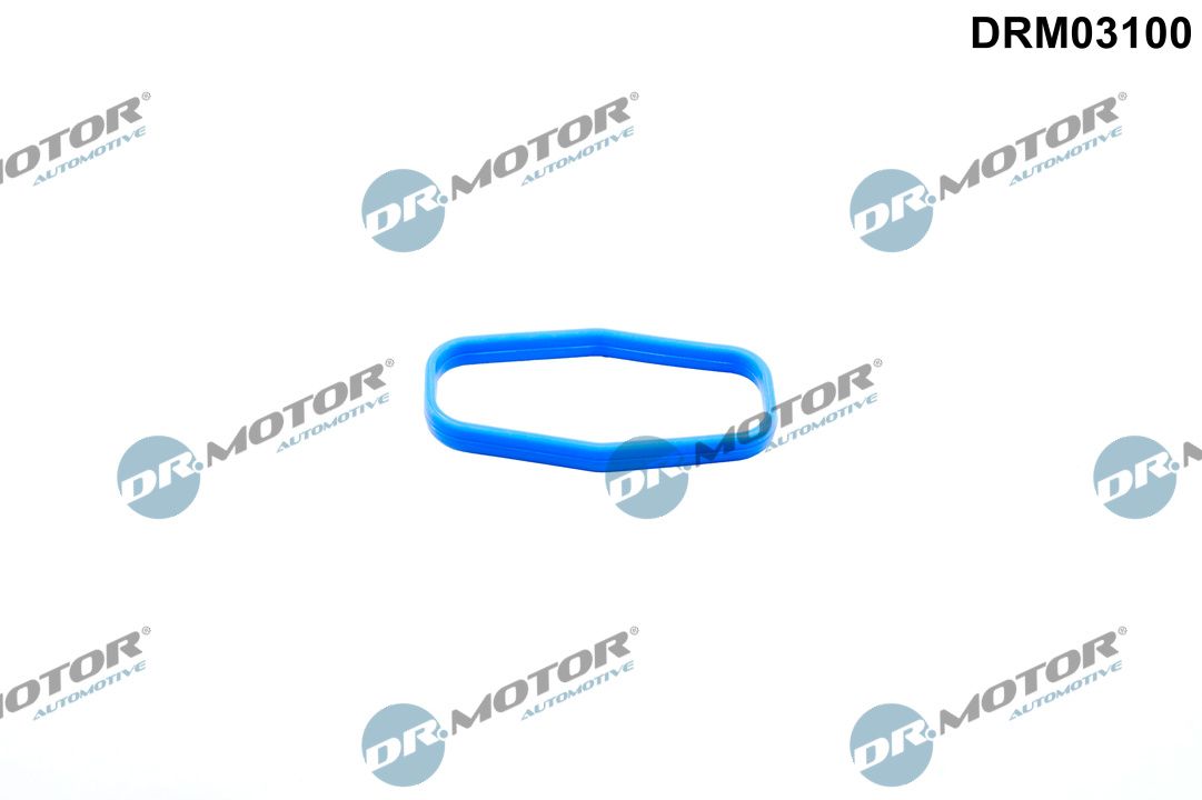 Dr.Motor Automotive DRM03100 Gasket, oil pump