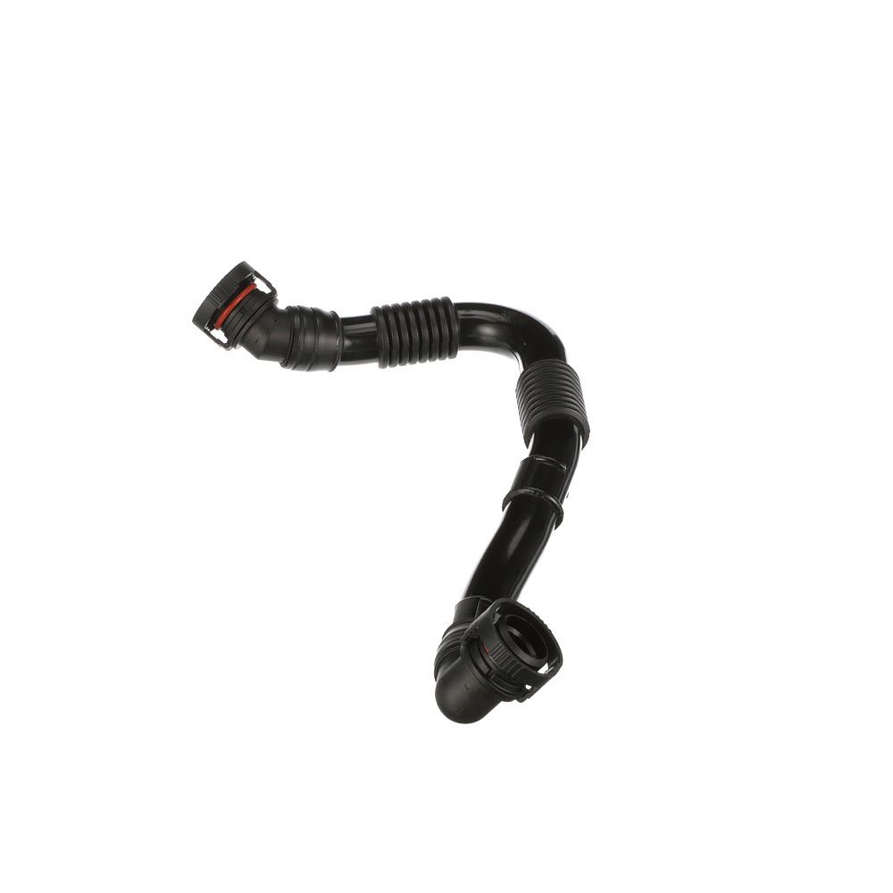 žarna, karterio alsuoklis