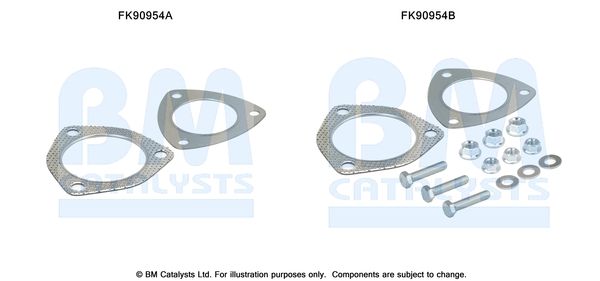 BM CATALYSTS FK90954 - Montagesatz, Katalysator