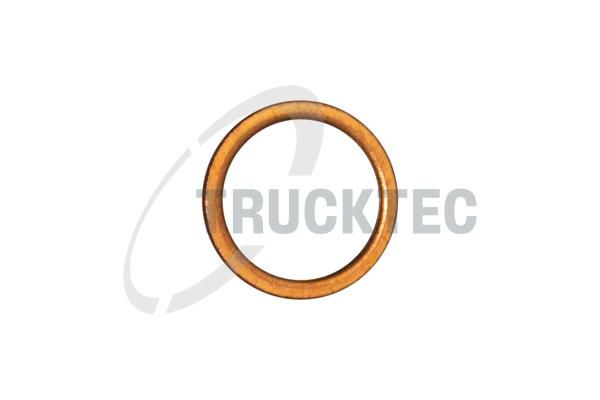 Dichtring, &Ouml;lablassschraube