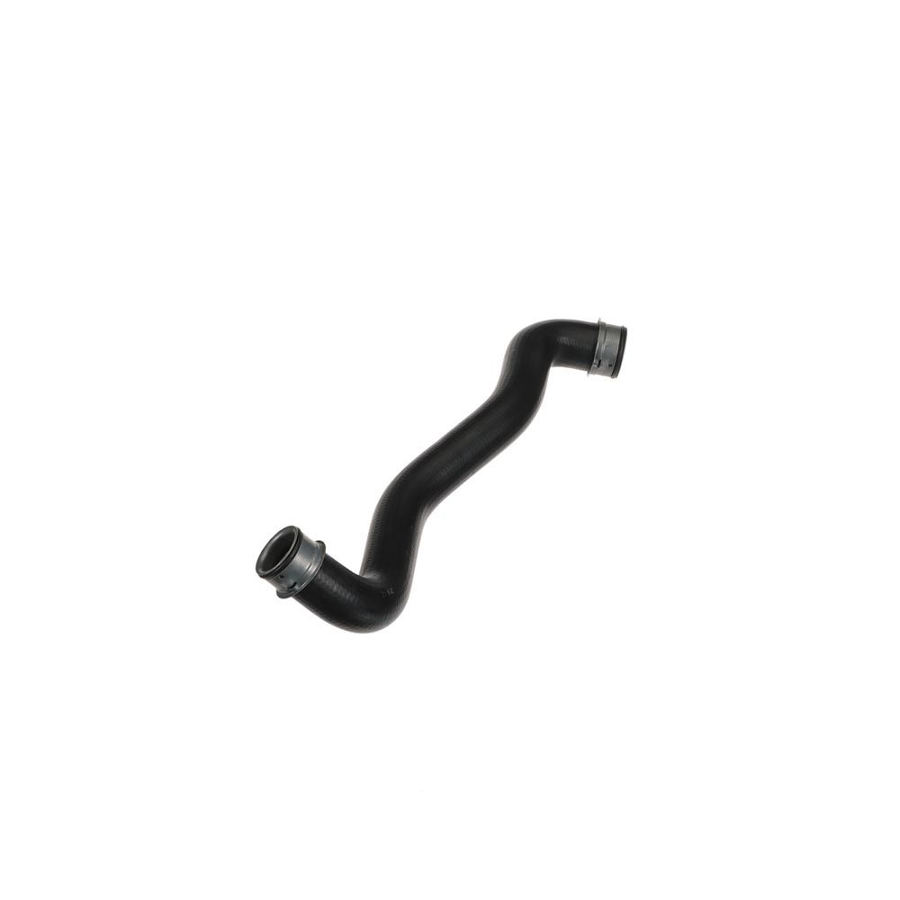 radiatoriaus žarna