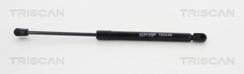 Gasfeder, Koffer-/Laderaum