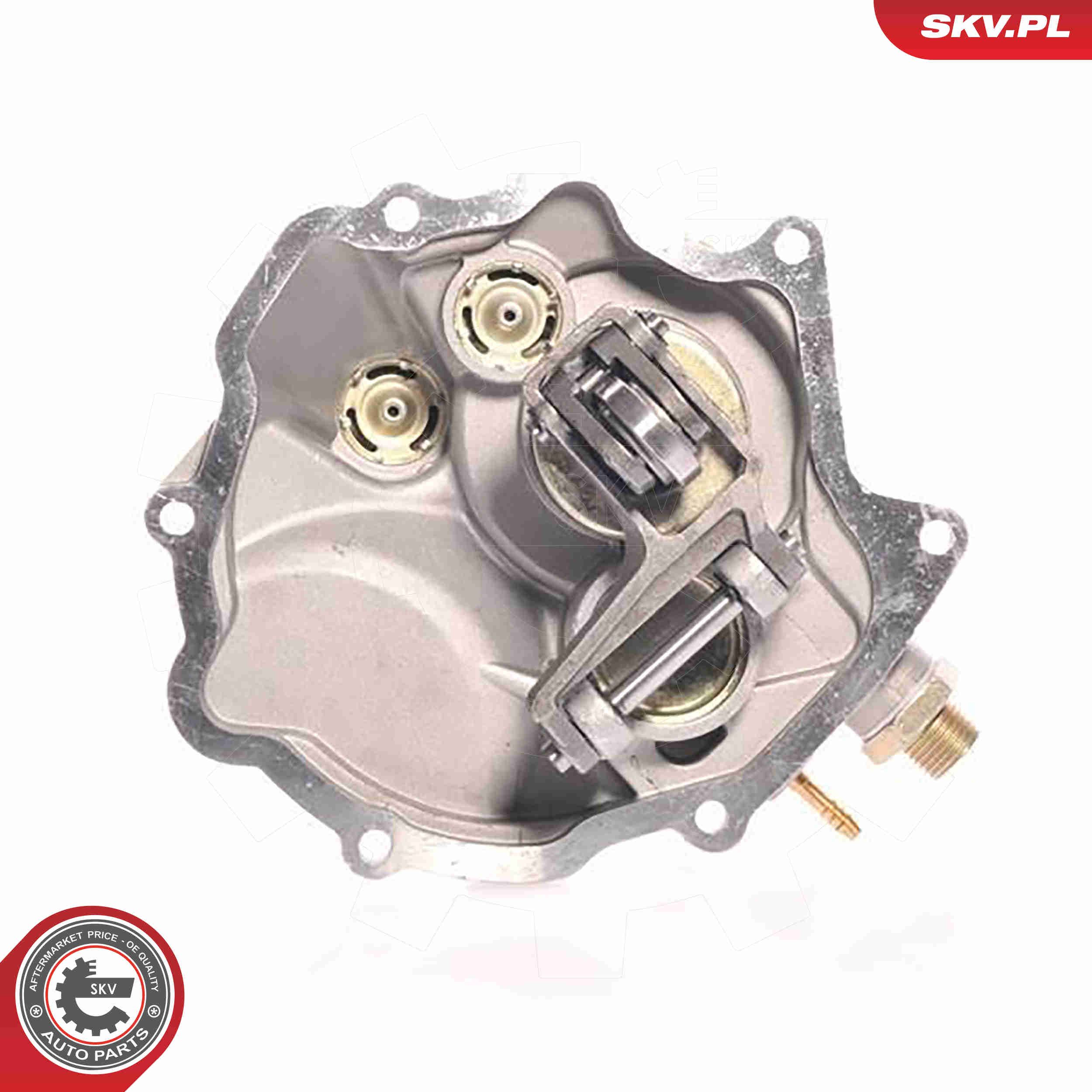 Unterdruckpumpe, Bremsanlage