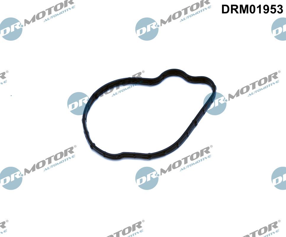 Dr.Motor Automotive DRM01953 - Dichtung, Einspritzpumpe