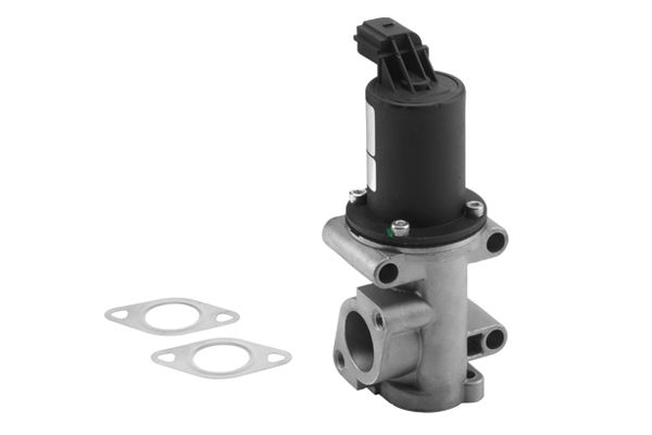 EGR Valve 710960R