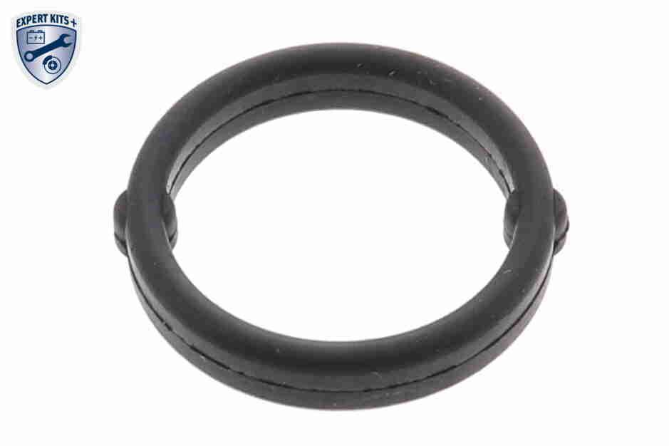 Ölkühler, Motoröl Ölkühler, Motoröl