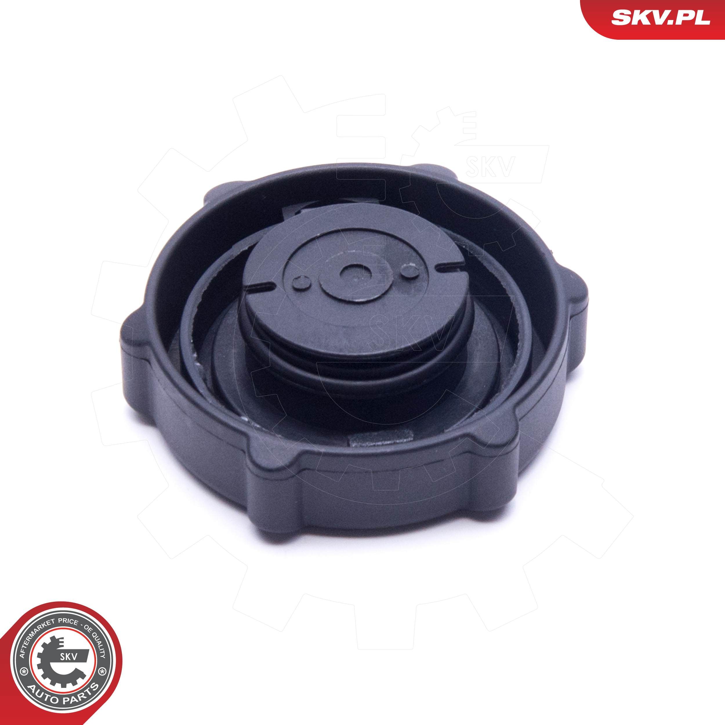 ESEN SKV 61SKV029 - Dichtring, Verschlussstopfen-Servopumpe