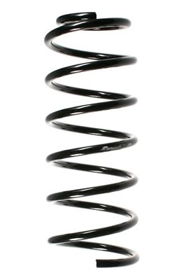 SPIDAN 49391 - Fahrwerksfeder