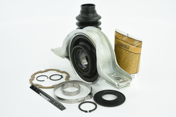 guolis, kardaninio veleno centrinis guolis