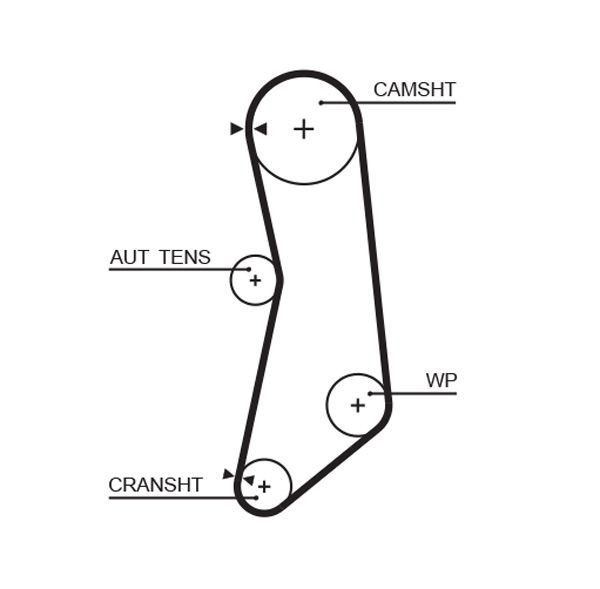 GATES 5626XS Timing Belt