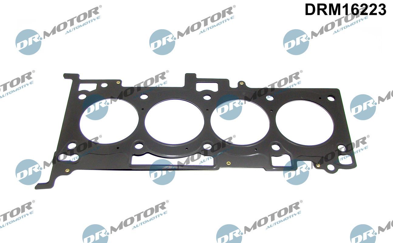Dr.Motor Automotive DRM16223 - Dichtung, Zylinderkopf