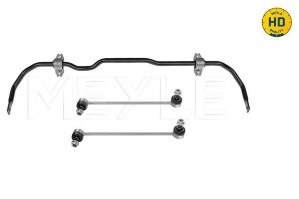 Stabiliser Bar, suspension 100 653 0005/HD