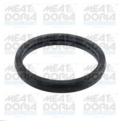 Seal, thermostat 01694