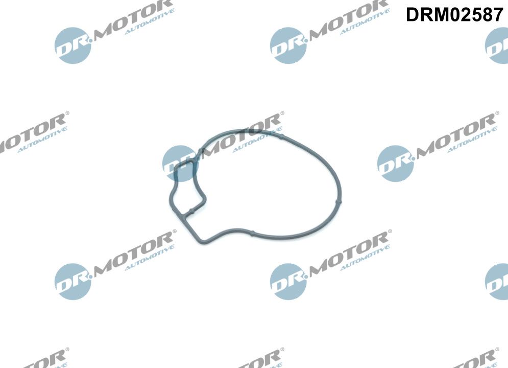 Dr.Motor Automotive DRM02587 Gasket, vacuum pump