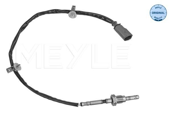 Sensor, Abgastemperatur