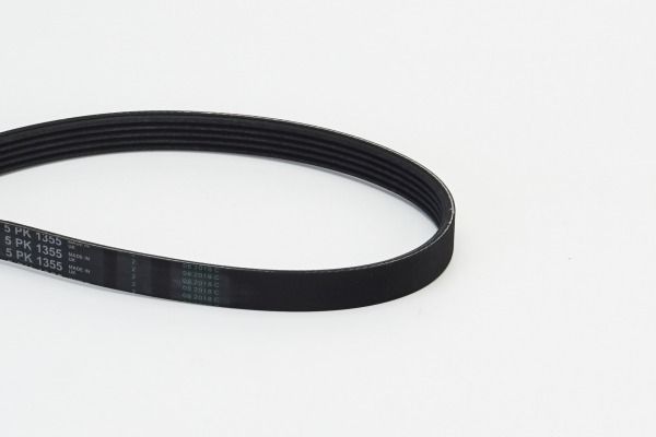 BELTPIC_5PK1355.JPG