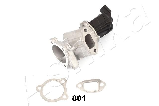 EGR Valve 150-08-801