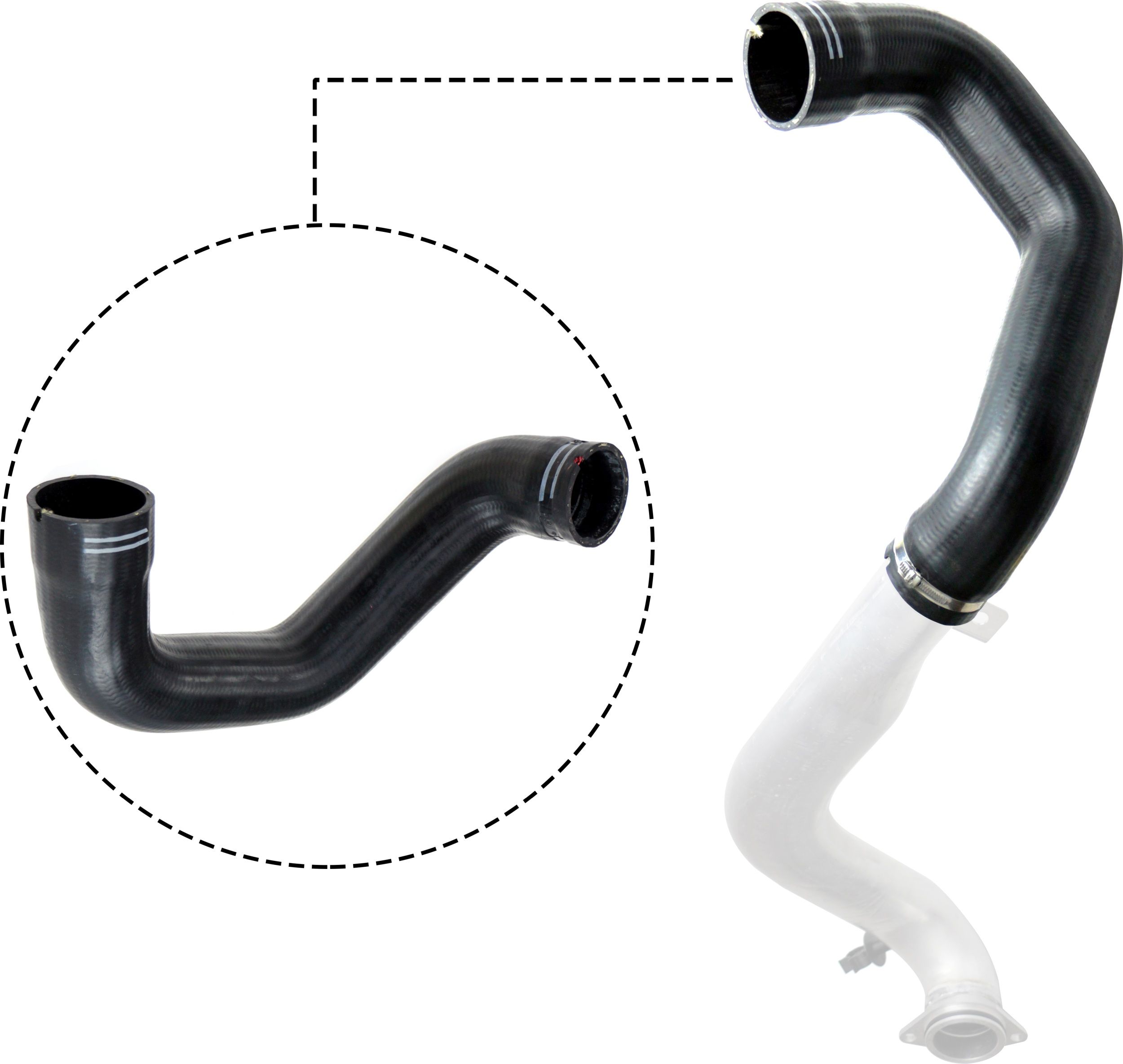 RAPRO R11772 - Ladeluftschlauch