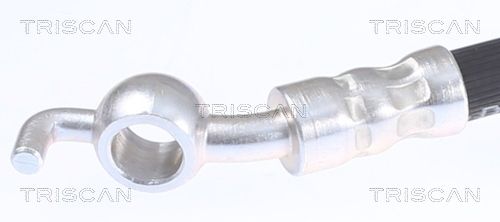 815068106_2.JPG