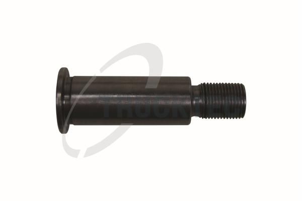 Lagerzapfen, Spannrollenhebel