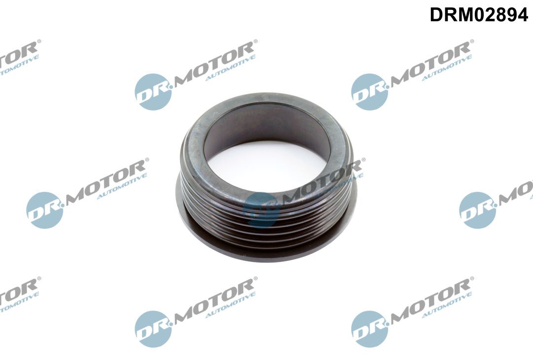 Dr.Motor Automotive DRM02894 Dichtring, Ladeluftschlauch